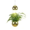 Globen Lighting Planter Hanglamp Met Bloempot