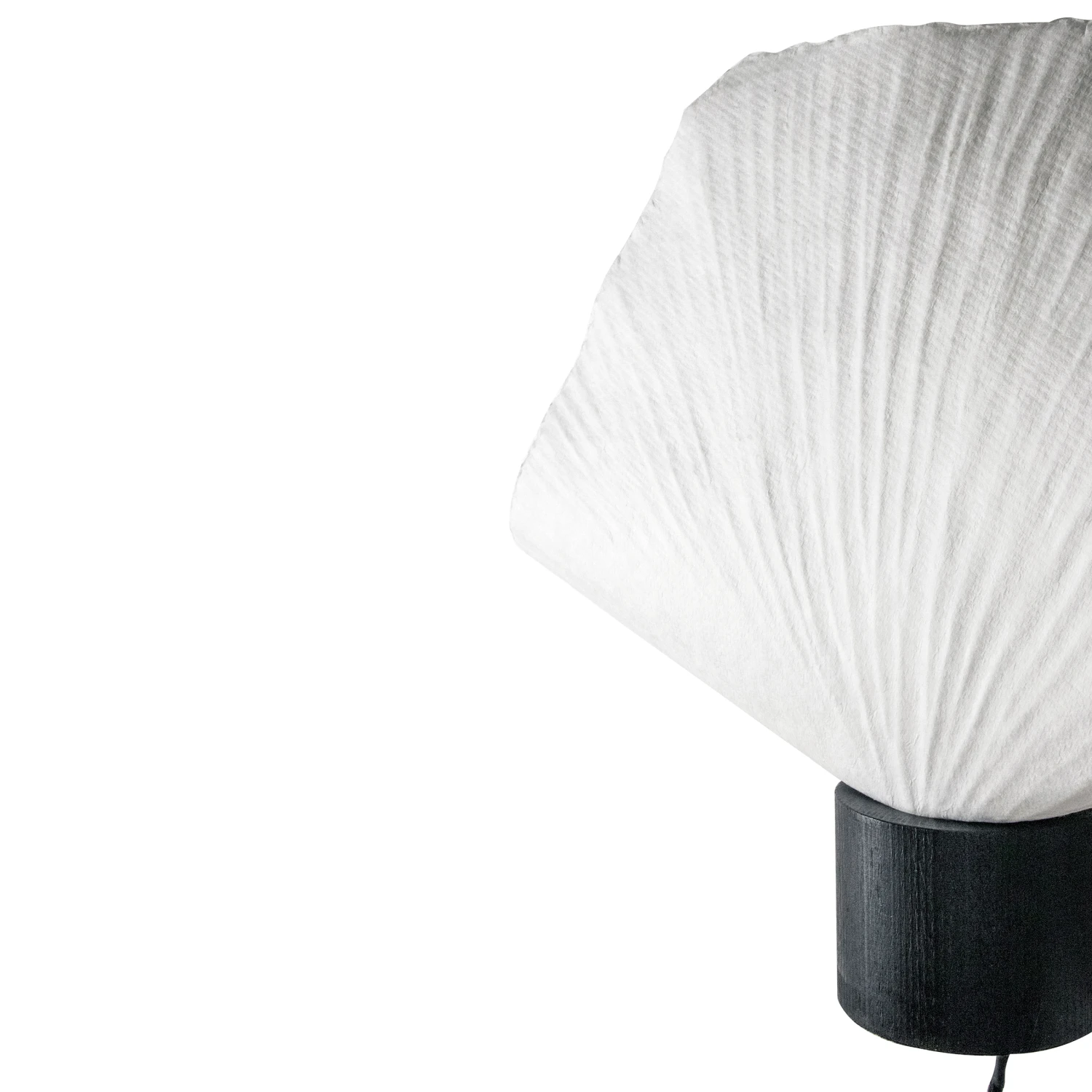 Globen Lighting Tropez Wandlamp - Afbeelding 2