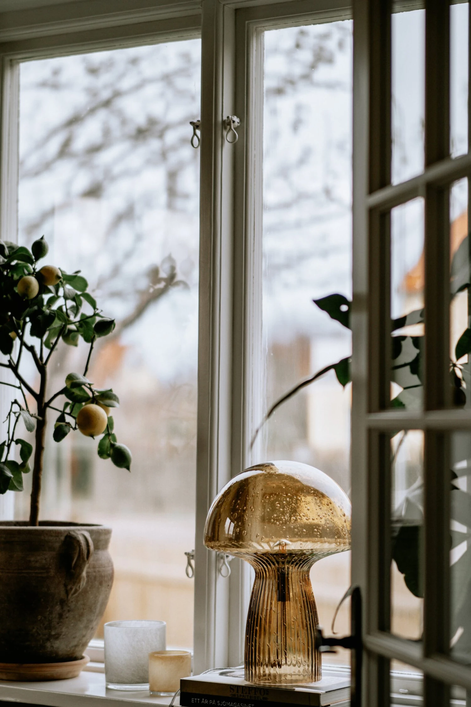 Globen Lighting Fungo Tafellamp Special Edition Bruin - Afbeelding 4