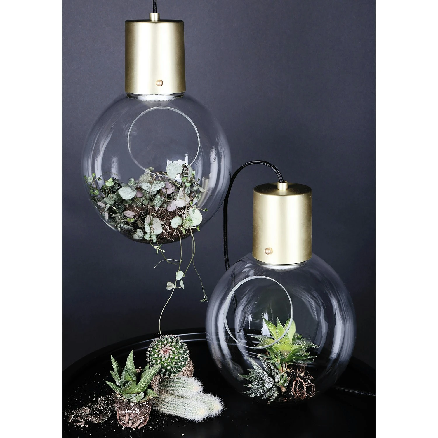 Globen Lighting Mini Hole Pendant/Table, Clear/Brushed Brass - Afbeelding 2