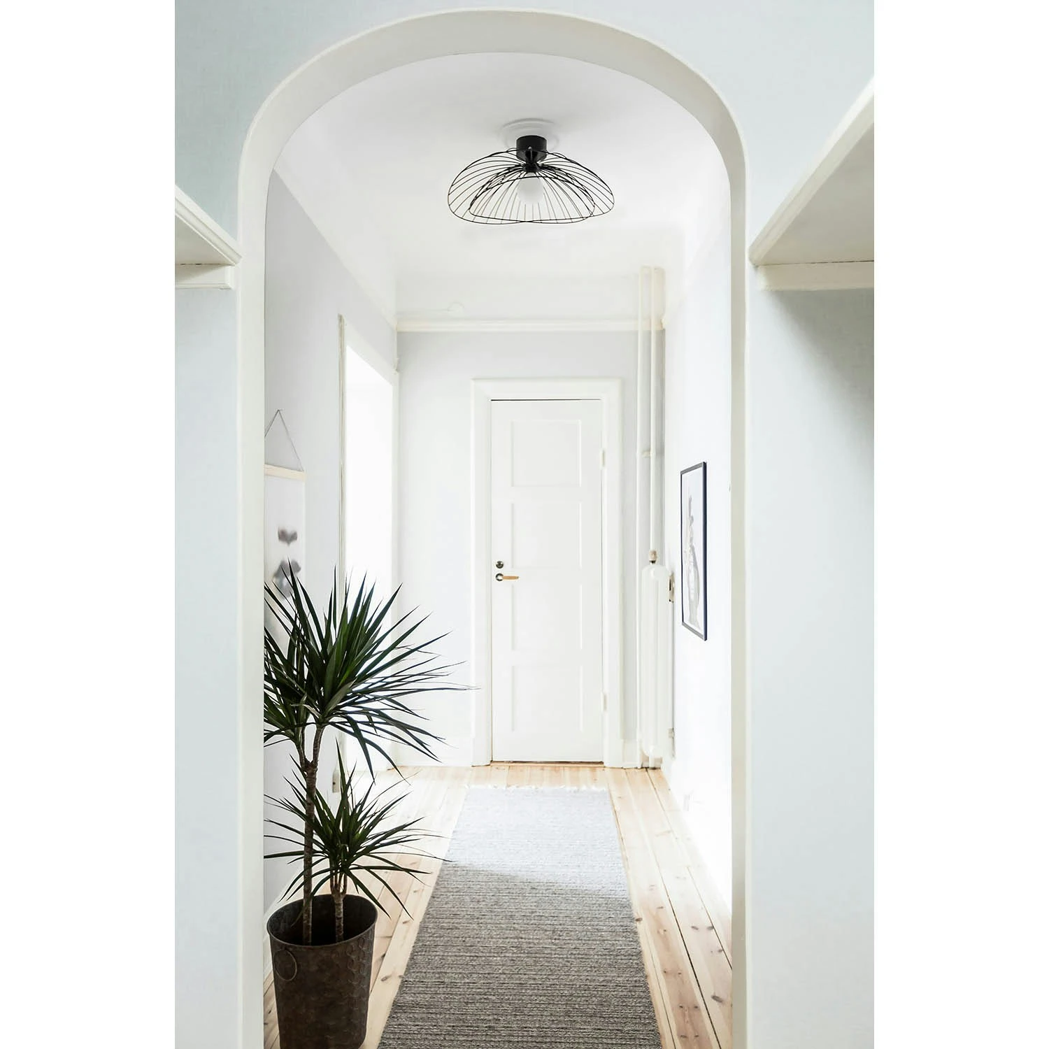 Globen Lighting Ray Wand-/Plafondlamp, Zwart - Afbeelding 4